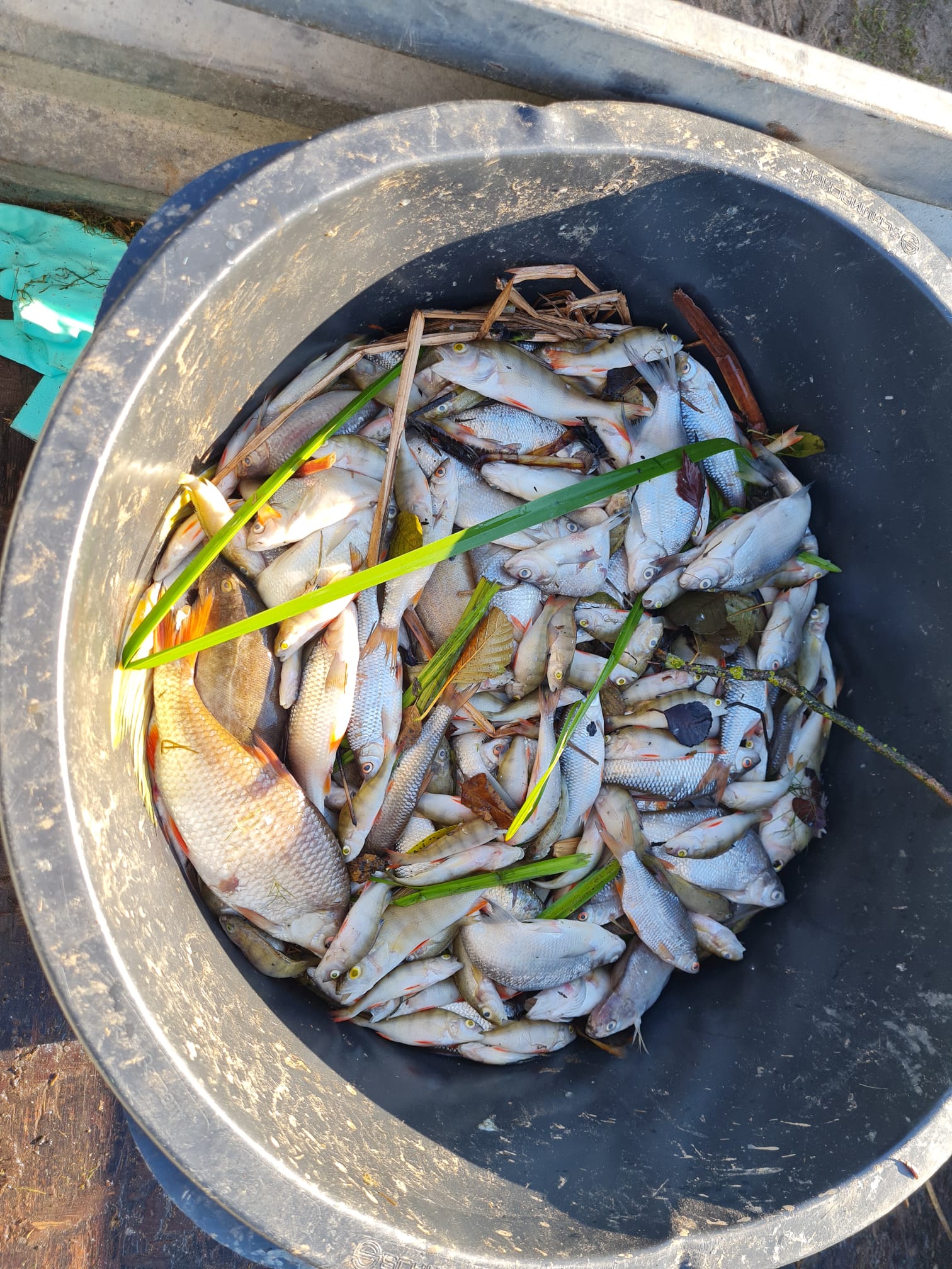 Sauerstoffmangel 2023